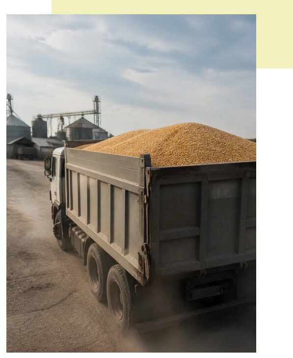Перевозка сельхозпродукции навалом в Волгодонск по цене от 3283 р. | Агросервис-Вгн