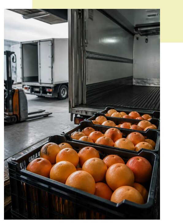 Перевозка грейпфрутов в Волгодонск по цене от 5855 р. | Агросервис-Вгн